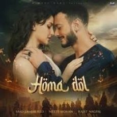 Homa Dol Homa Dol